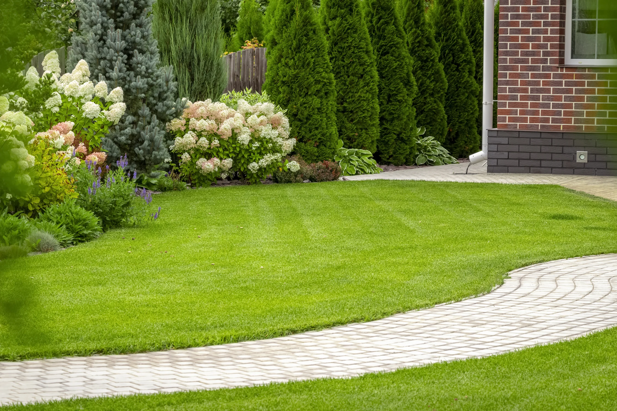 The Ultimate Guide to Choosing the Perfect Expandable Garden Hose for Your Green Oasis