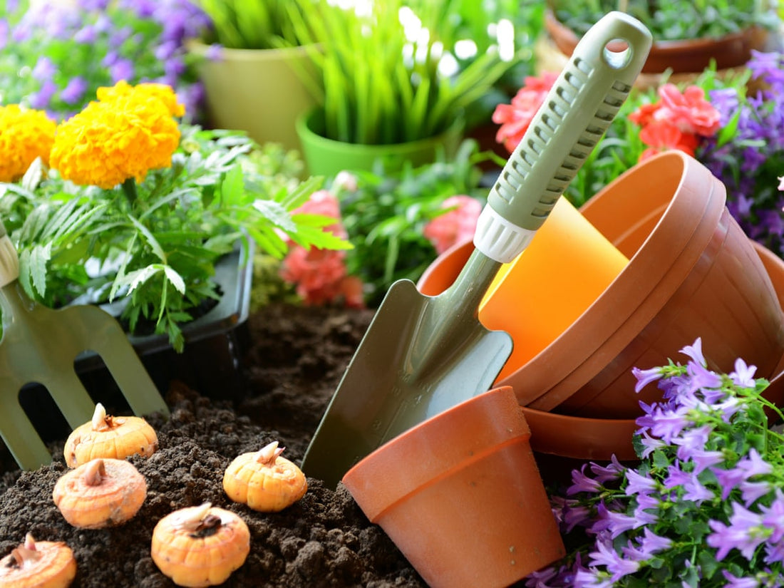 The Best RüK Expandable Garden Hose: A Must-Have for Every Gardener