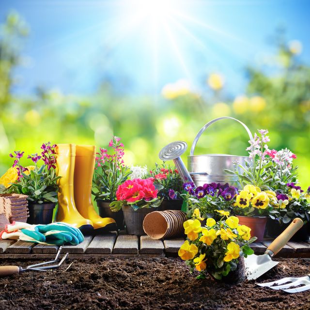 Expandable Garden Hoses: The Future of Hose Technology